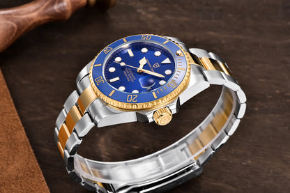 PAGANI DESIGN 2026 New Men's Watches Top Luxury Gold Automatic Mechanical Wrist Watch Men Stainless Steel Waterproof Men Watch