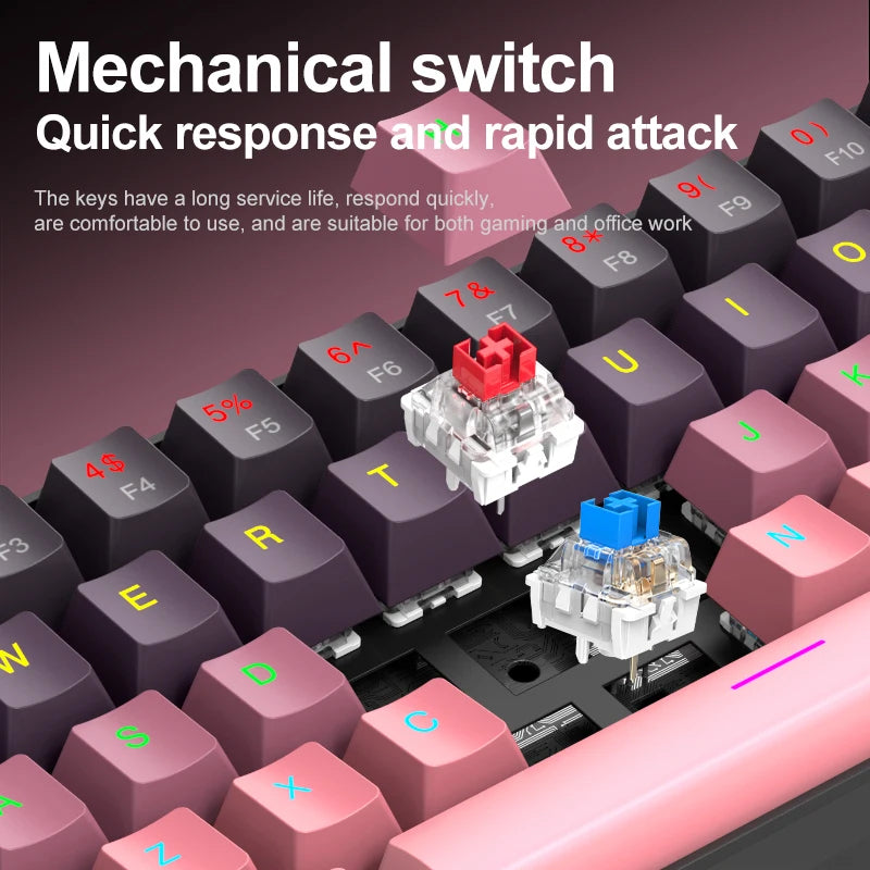 Teclado mecánico mini APAYADO K61, con cable, 61 teclas, Phantom RGB, negro/blanco, interruptor mecánico rojo/azul para gaming, portátil 60%