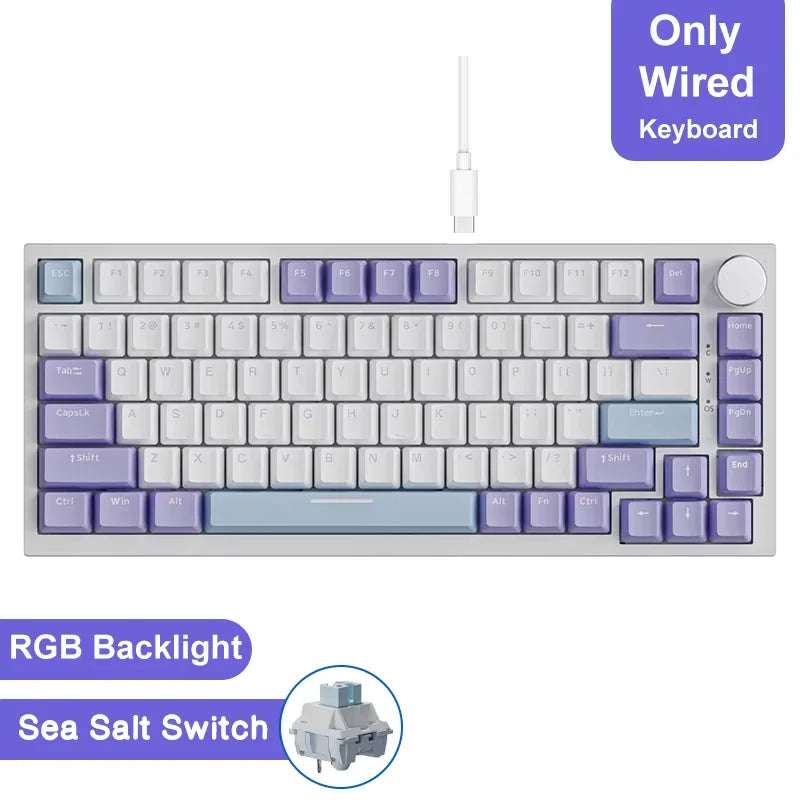 AK820 Wired Full-Key Hot-Swap Keyboard Removable USB Port White/Ice Blue Backlight Premium Sense Colorway