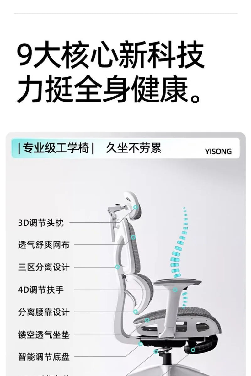 Comfortable Ergonomic Study Chair, Waist Support for Long Periods of Sitting, Lift Chair, Home Computer Swivel Office Chair
