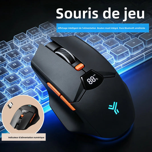 Belaidė Bluetooth pelė su skaitmeniniu baterijos įkrovos ekranu, tyli ergonomiška pelė PC, nešiojamajam kompiuteriui ir žaidimams, 2.4G/Bluetooth 5.0