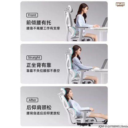 Comfortable Ergonomic Study Chair, Waist Support for Long Periods of Sitting, Lift Chair, Home Computer Swivel Office Chair