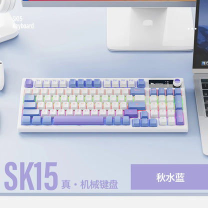 Spanish Mechanical Keyboard Spanish Russian Arabic Korean Thai Gaming Keyboard 95 Key Layout Backlight Type C With Numpad SK15