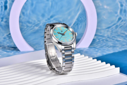 PAGANI DESIGN 2025 New VH31 Casual Men's Quartz Watch Luxury Sapphire Stainless Steel Waterproof 10Bar Luminous C3 reloj hombre