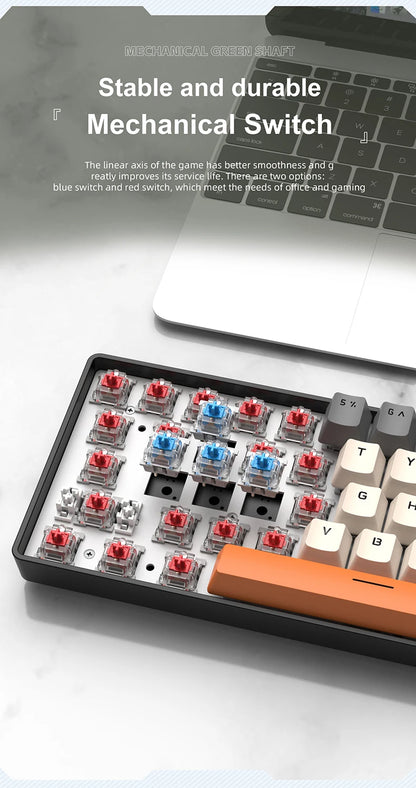 Teclado mecánico mini APAYADO K61, con cable, 61 teclas, Phantom RGB, negro/blanco, interruptor mecánico rojo/azul para gaming, portátil 60%
