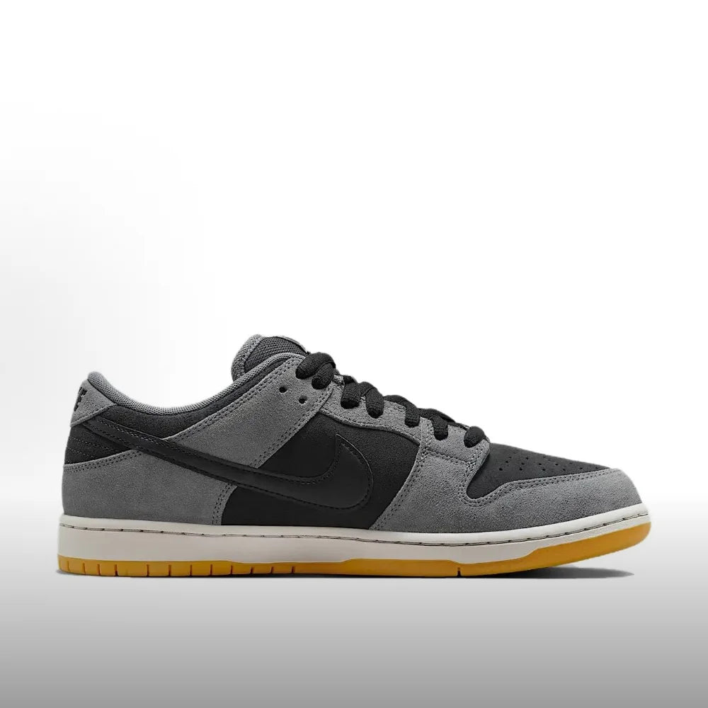 Nike Dunk SB Unisex Skate Shoes Comfortable Cushioned Lightweight Durable Sneakers for Casual Streetwear Sports HF3063-001