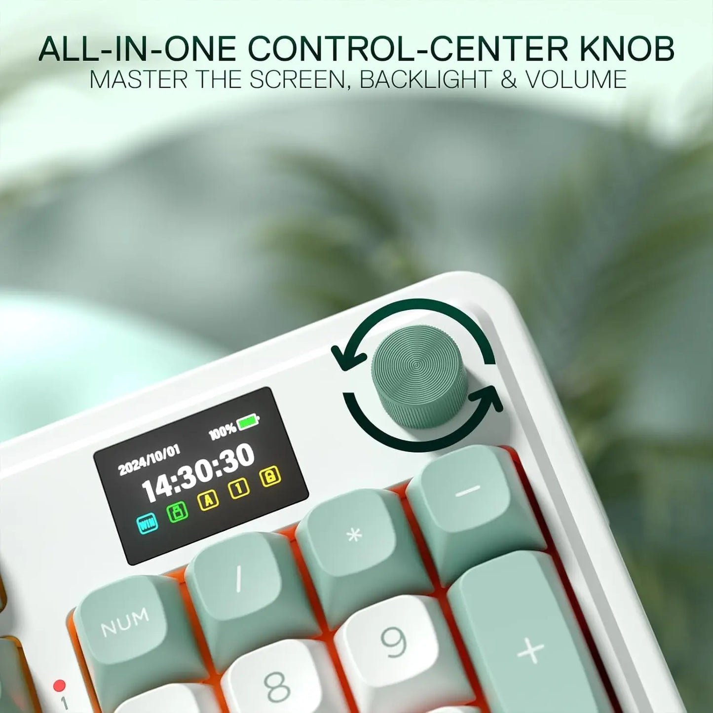 Redragon K719 Wireless Gasket Gaming 95 Keys Mechanical Keyboard, Easy-Control 1.14’’ TFT Info Display, Mint Mambo Switches