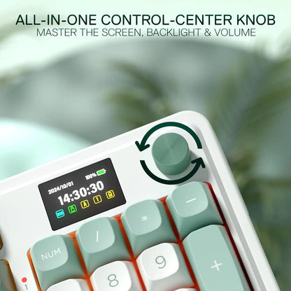 Redragon K719 Wireless Gasket Gaming 95 Keys Mechanical Keyboard, Easy-Control 1.14’’ TFT Info Display, Mint Mambo Switches