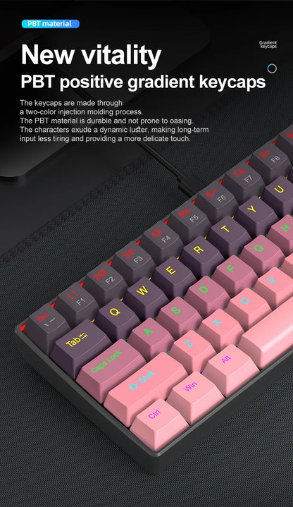 Teclado mecánico mini APAYADO K61, con cable, 61 teclas, Phantom RGB, negro/blanco, interruptor mecánico rojo/azul para gaming, portátil 60%