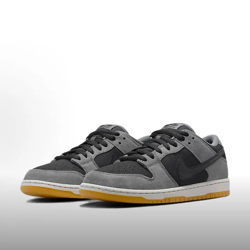 Nike Dunk SB Fashionable, Versatile, Premium Comfort, Durable, Slip-Resistant Low-Top Casual Sneakers HF3063-001