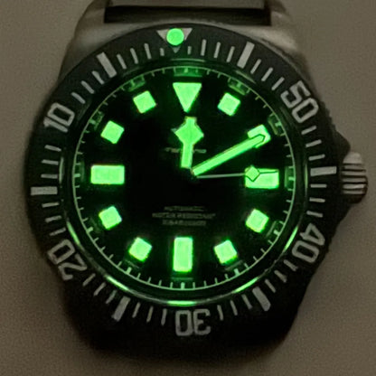 Titanium Case Tandorio 42mm Retro FXD NH35 PT5000 Mechanical Men Watch Sapphire 200M Diver Watches Luminous Montres hommes