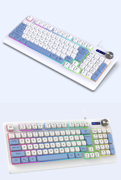 93 Keys Wired RGB Gaming Keyboard Two Tone PBT Ball Keycaps Mechanical Feeling Portable Keyboard for Laptop Office Gamer Typing