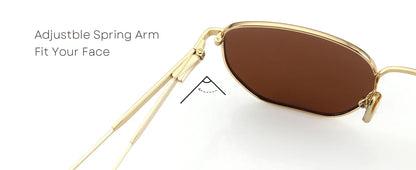 ZENOTTIC Fashion Hexagon Polarized Retro Sunglasses for Men Women-Vintage Metal Frame Design UV Protection Trendy Fashion Shades